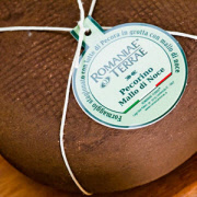 romaniaepecorinomallonoce