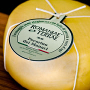 romaniaepecorinomonaci