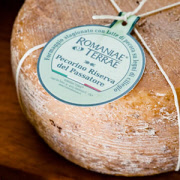 romaniaepecorinopassatore